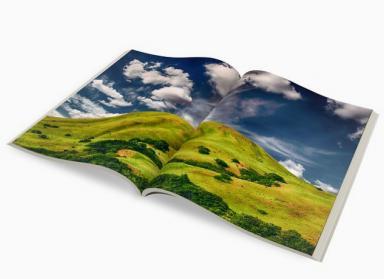 livre photo